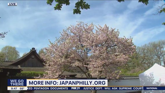 Cherry Blossom Festival takes place at Fairmount Park this weekend