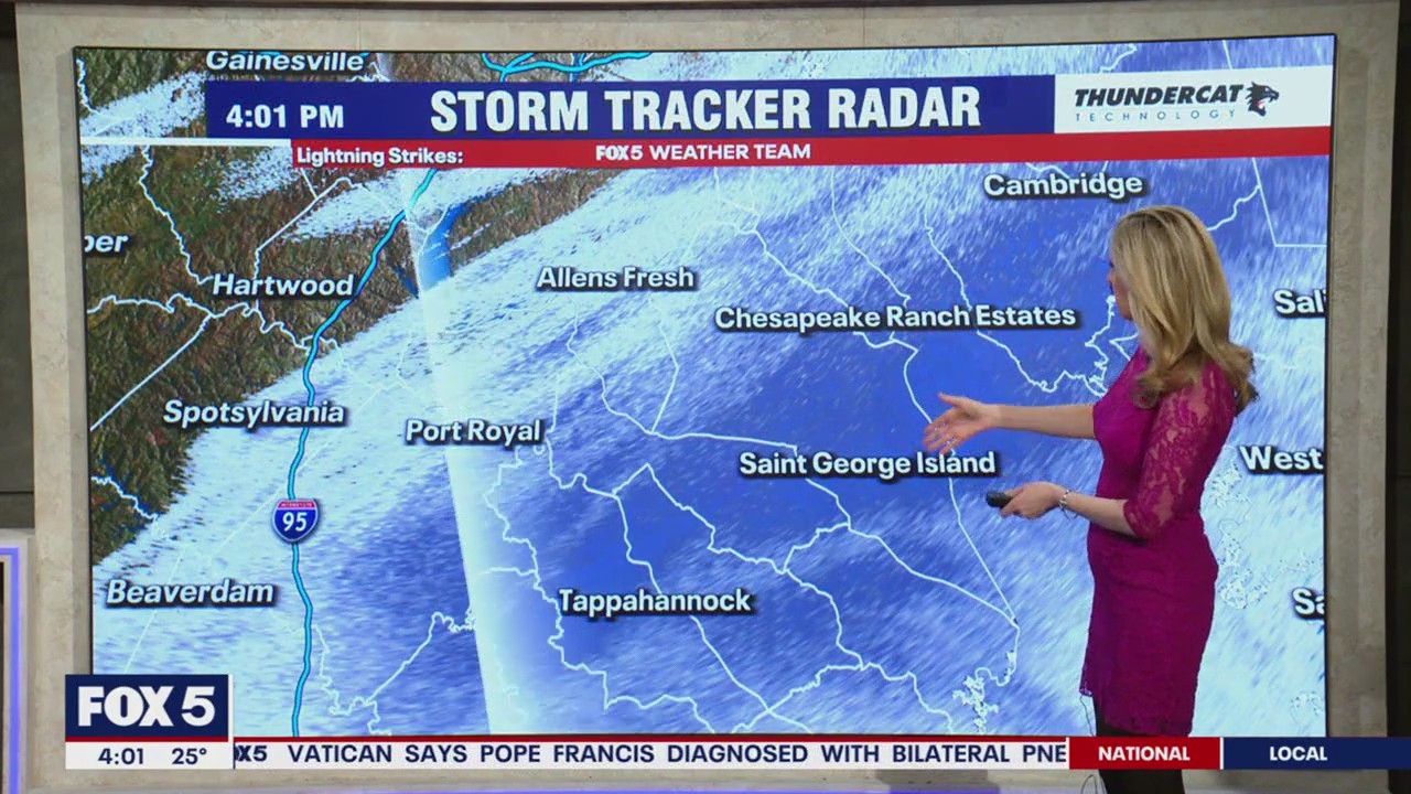 Snowstorm hits Virginia, DC area braces for slippery roads