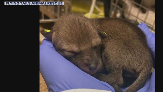 Sonoma-based nonprofit starring in new PBS series