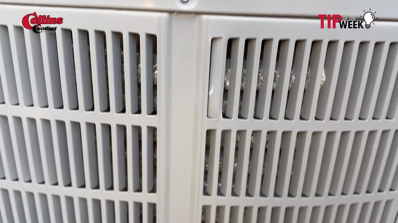 The Unbelievable Phoenix Humidity Secret That Will Change Everything You Know About Comfort!