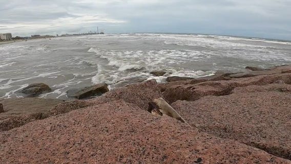 Texans prepare for Tropical Storm Nicholas and several inches of rain