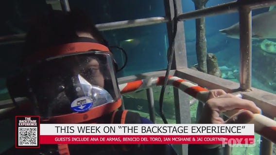 The Backstage Experience: Ana De Armas, Benicio Del Toro, Ian Mcshane & more