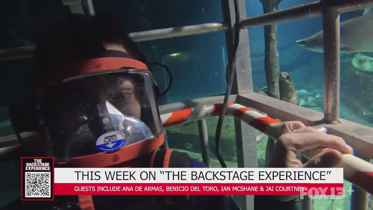 The Backstage Experience: Ana De Armas, Benicio Del Toro, Ian Mcshane & more