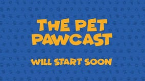 The Pet Pawcast: Treating Parasitic Worm Infections