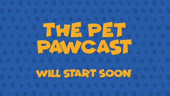 The Pet Pawcast: Treating Parasitic Worm Infections