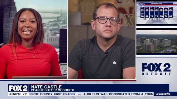 Local band, Peanut Butter Mosquito, gives back to the local community with shows