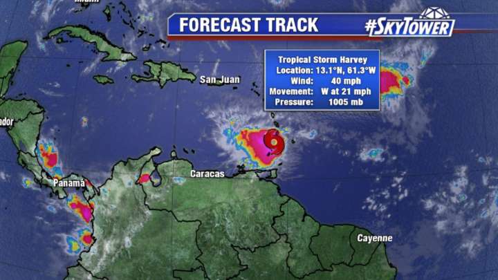 Friday Afternoon Tropics | FOX 13 Tampa Bay