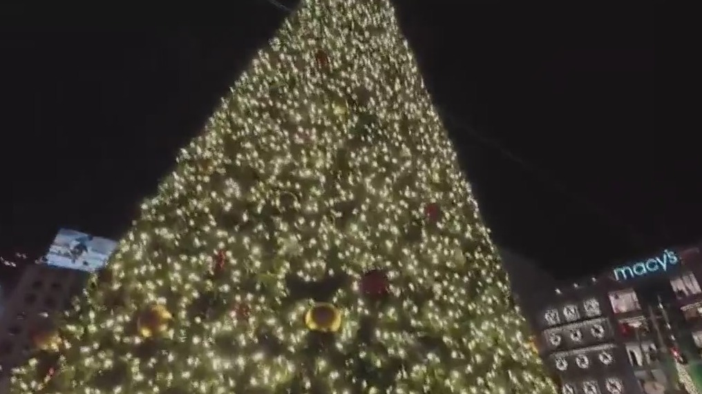 Union Square welcomes holidays with tree lighting