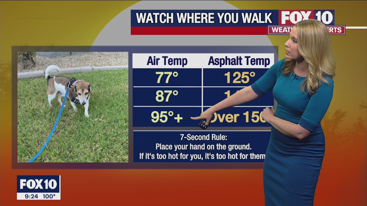 Evening Weather Forecast - 9/4/22