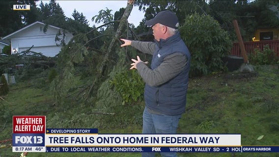 Tree falls onto home in Federal Way