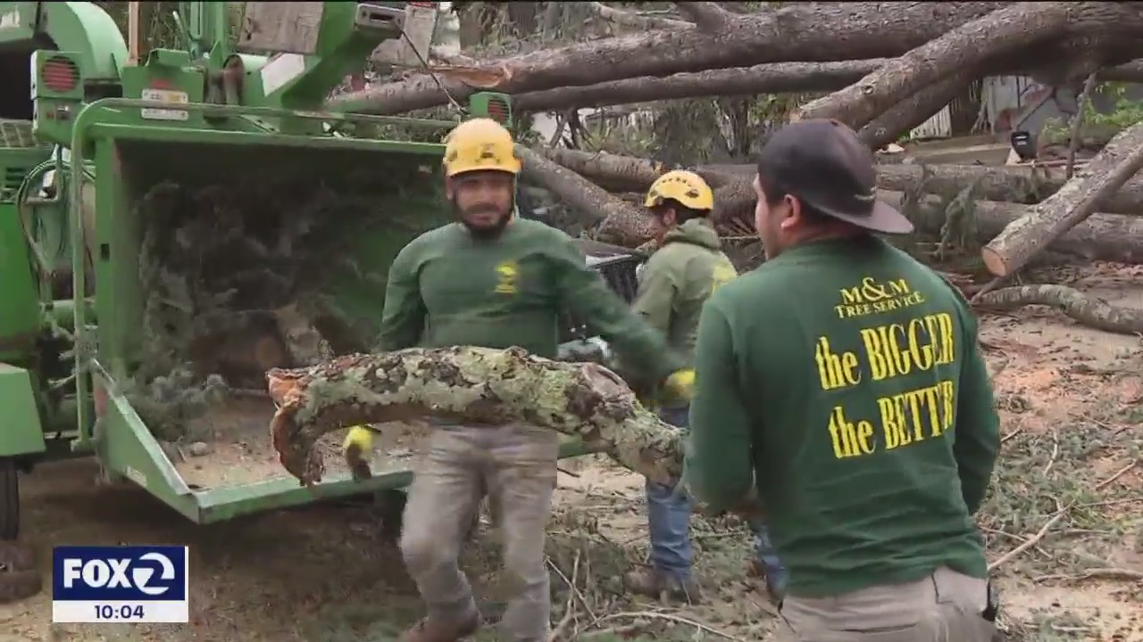 Tree trimmers struggle to keep up with storm-related cleanup.
