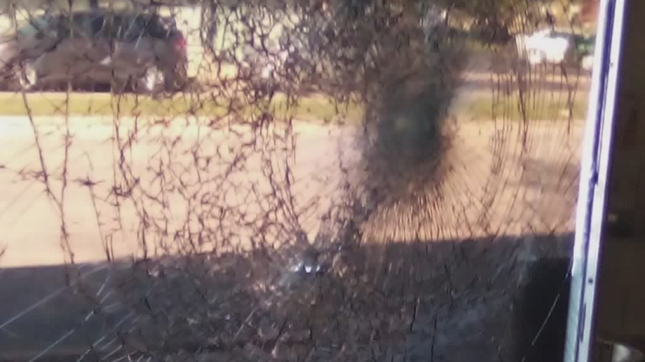 The Hemp Professors, blocks from Wauwatosa, damaged during protests