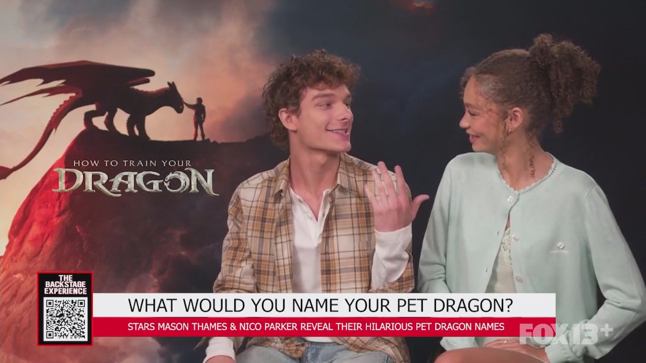 The Backstage Experience: with the cast of "How to train your dragon"
