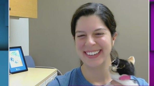 What winter really looks like for animals in need