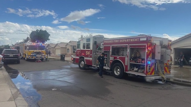 House fire in west Phoenix kills two dogs; third rescued