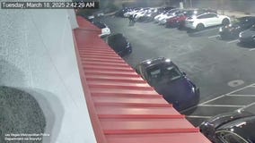 WATCH: Police arrested Tesla firebombing suspect in Las Vegas