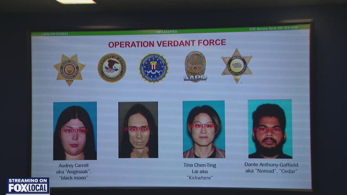 Security expert breaks down thwarted New Year’s Eve terror plot