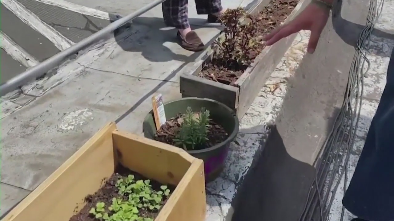 Derek Kevra tries gardening for the first time