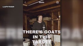FOX 26 story about goats inside Spring Target becomes a trending song