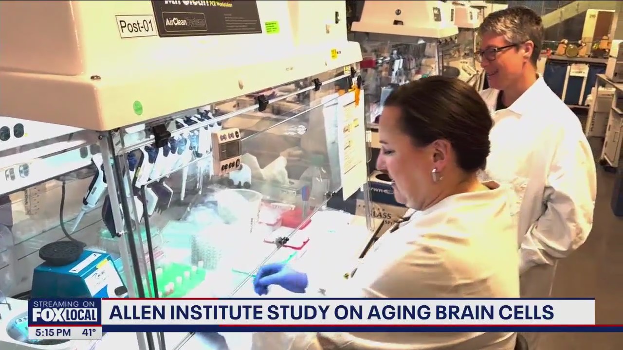 Seattle scientists make new discoveries on aging brain cells