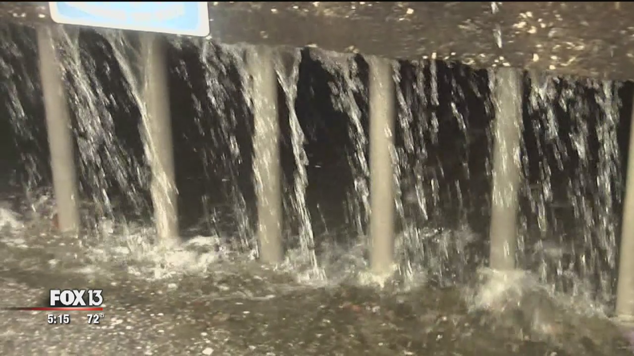 Storm drains clogging with lawn waste | FOX 13 Tampa Bay