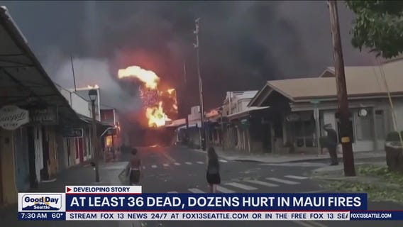 Hawaii wildfires: 36 dead, planes from Maui land in WA