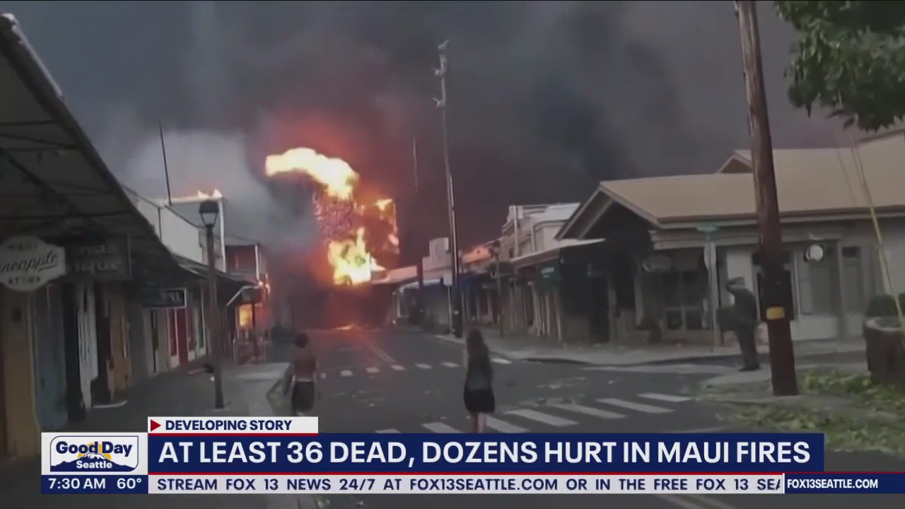 Hawaii wildfires: 36 dead, planes from Maui land in WA
