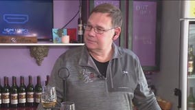 Vines to Cellar in Port Washington