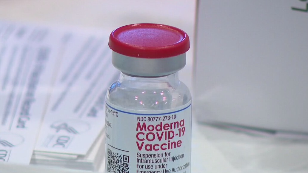 FOX 7 Discussion: Fertility unaffected by COVID-19 vaccine, studies say