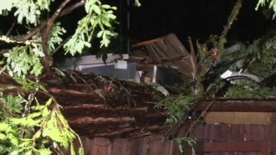 Rain causes downed trees, utility poles to fall in North Bay