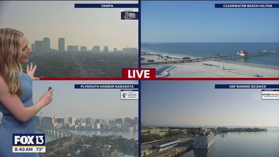 Tampa weather | Mostly sunny conditions on Sunday