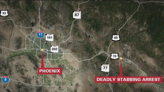 Juvenile arrested after man found dead in home near San Carlos