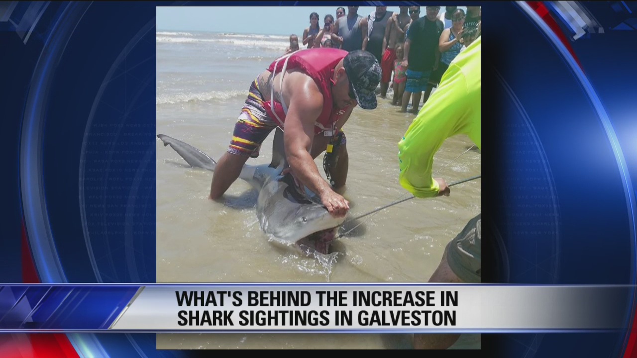 Fox 26 News Brief for June 11, 2018