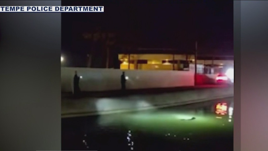 Caught on cam: Dog rescued from Tempe canal