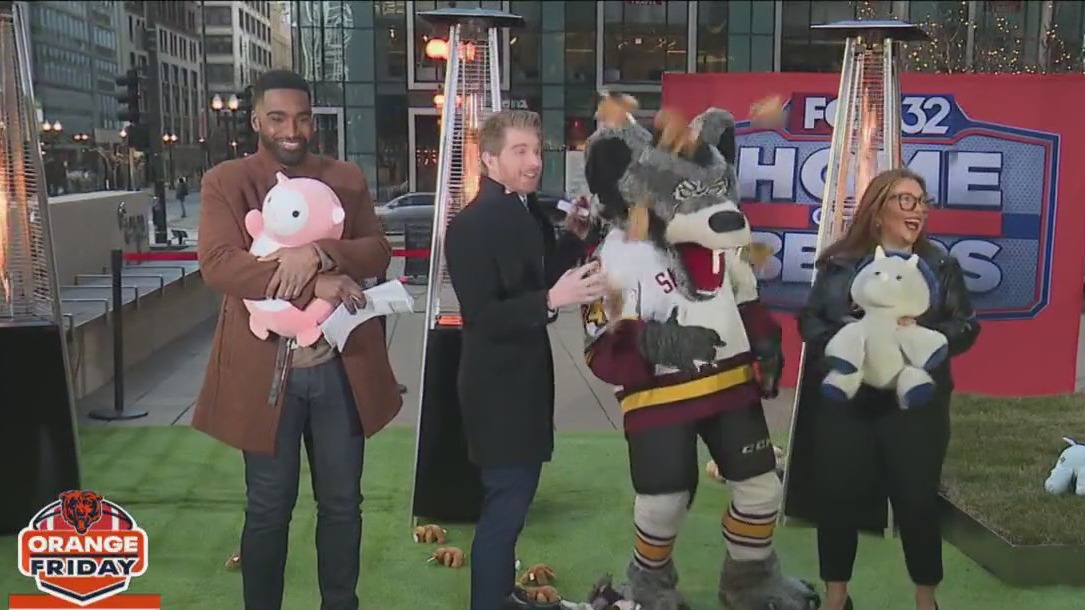 Teddy bears will fly for a good cause this Saturday at the Chicago Wolves game