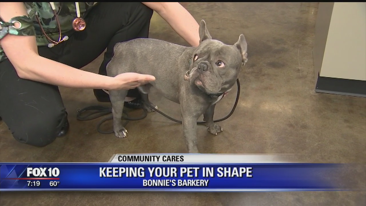 Bonnie's Bakery helps with weight loss tips and tricks for your pup