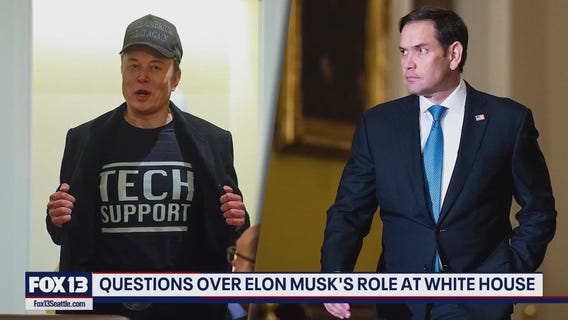 Questions over Elon Musk's role at White House