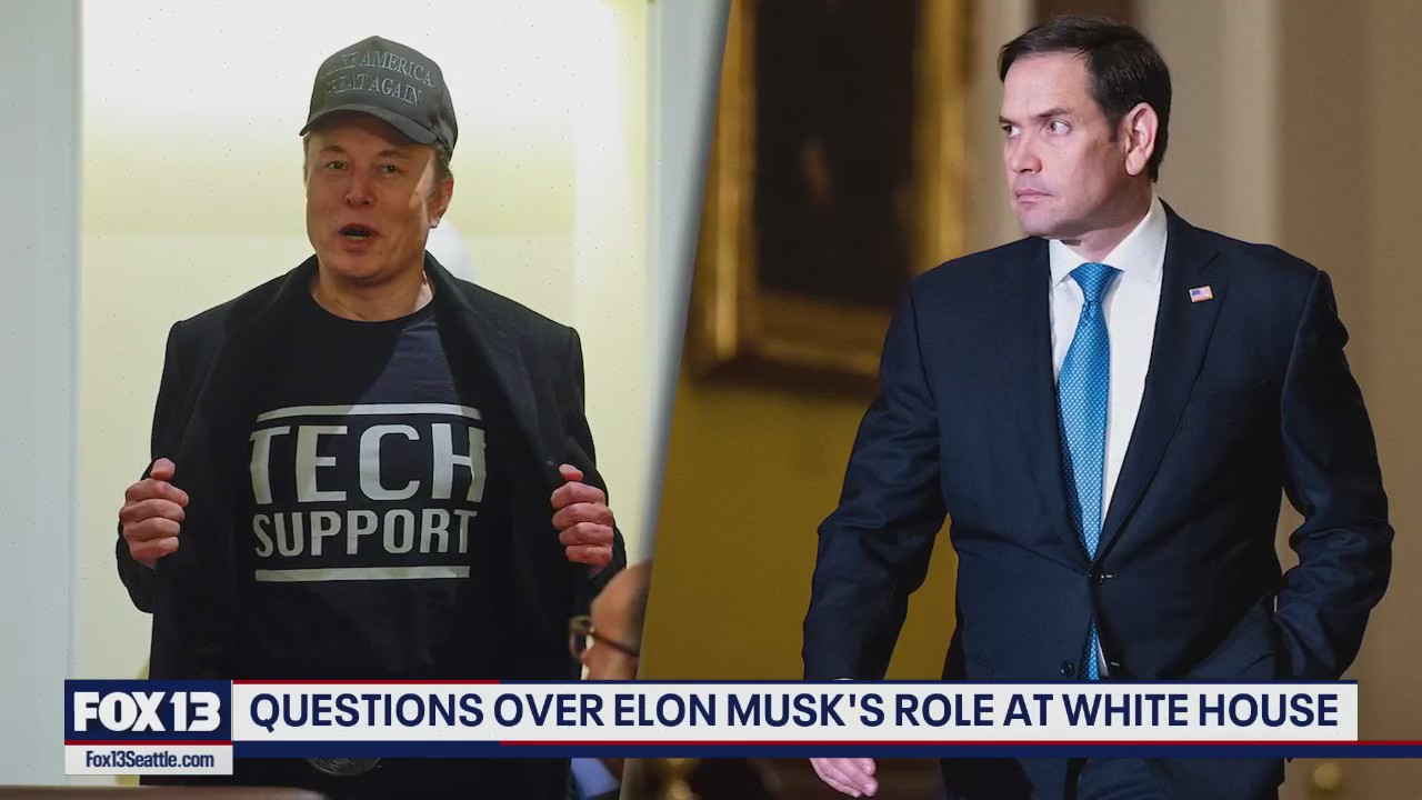 Questions over Elon Musk's role at White House