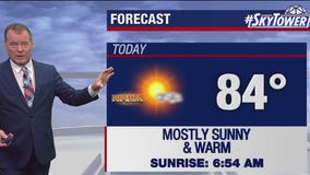 Tampa weather | Mostly sunny & warm