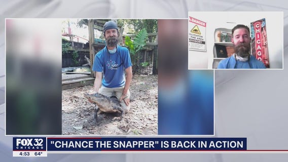 Chicago's famous 'Chance the Snapper' is back in action