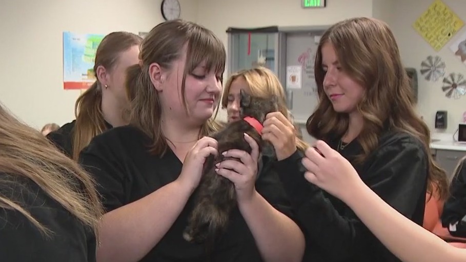 April 30 marks Adopt a Shelter Pet Day