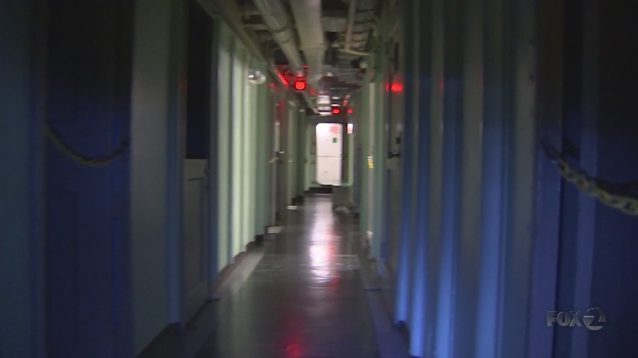 BAY AREA PEOPLE Haunted Hornet