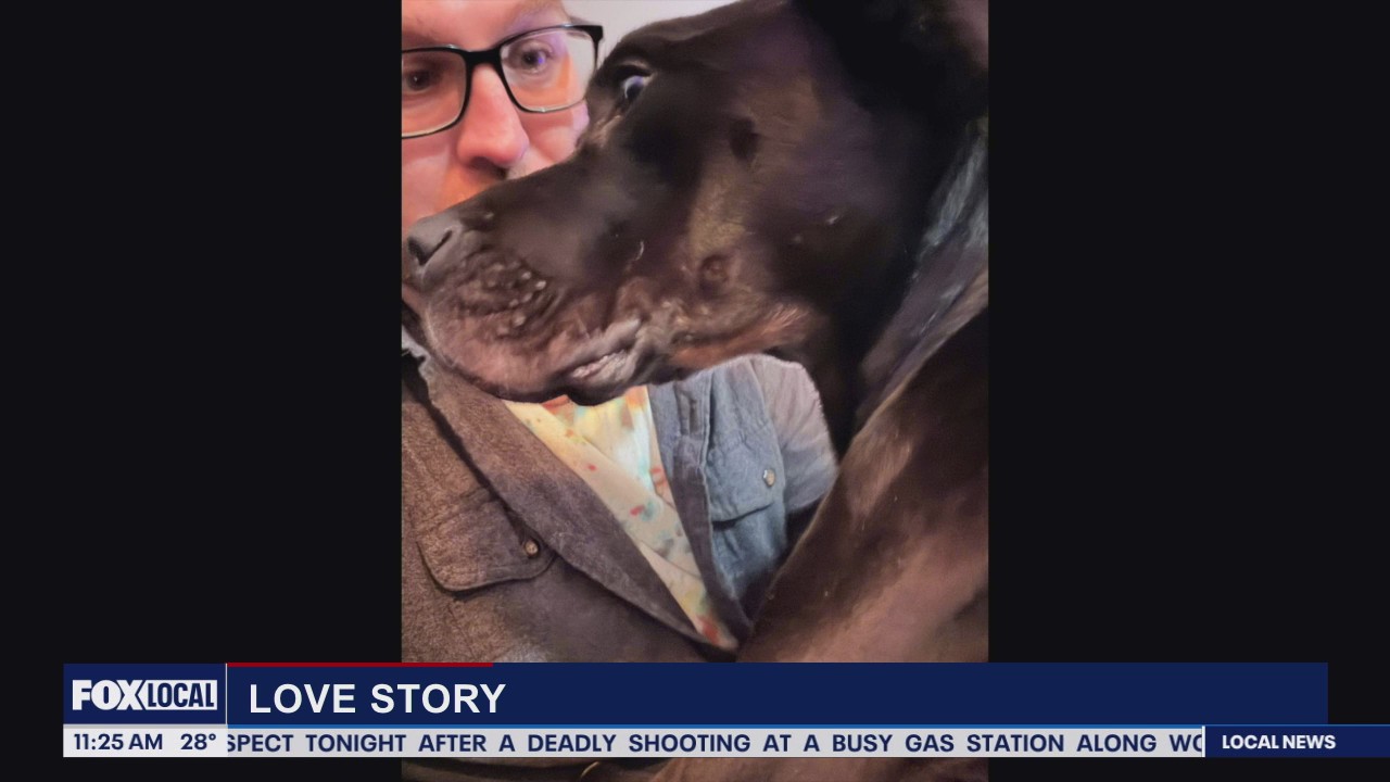 Lori's Stories: A Dual Rescue pt 2