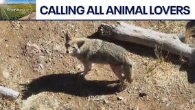 Heritage Park Zoological Sanctuary | Drone Zone