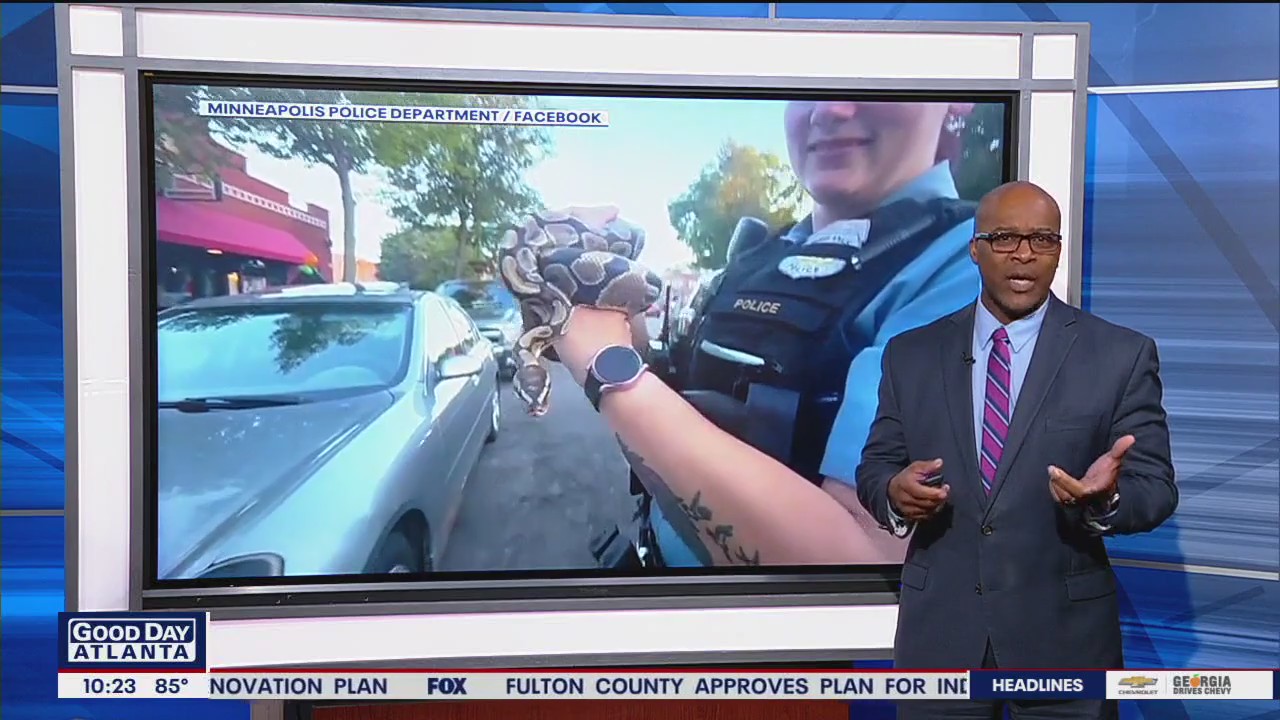 Rideshare driver finds snake in car