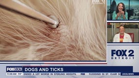 Lori's Stories Tick Season part 1