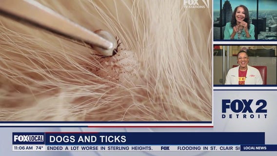 Lori's Stories Tick Season part 1