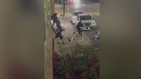 Man stabs dog after fight breaks out in Long Beach