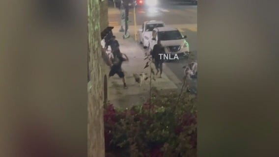 Man stabs dog after fight breaks out in Long Beach