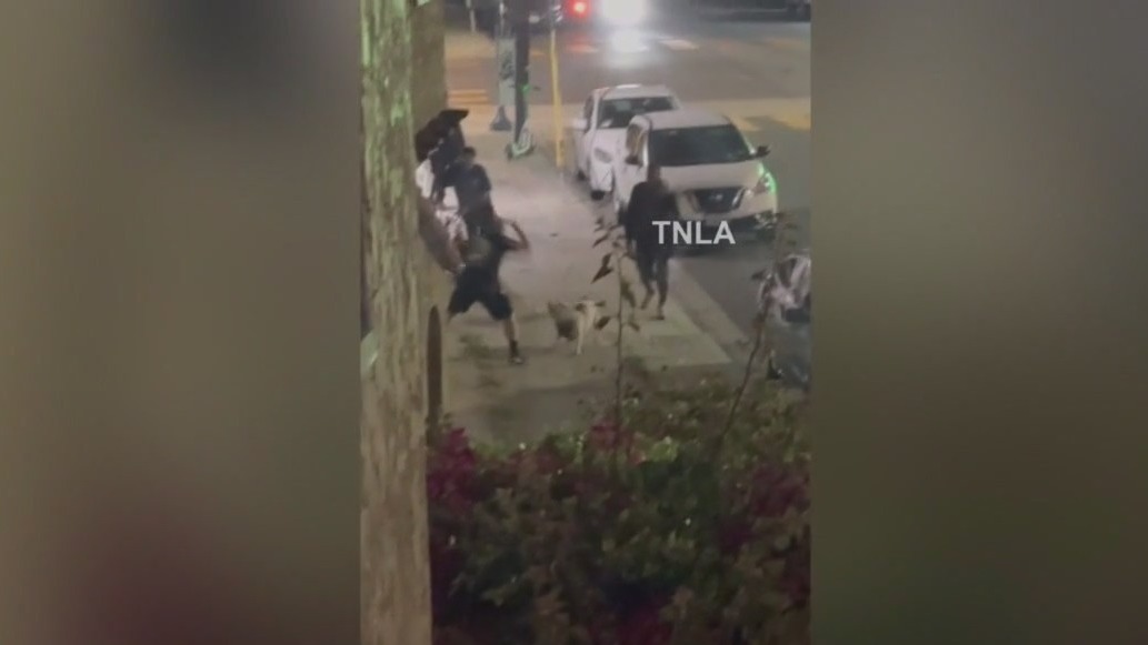 Man stabs dog after fight breaks out in Long Beach